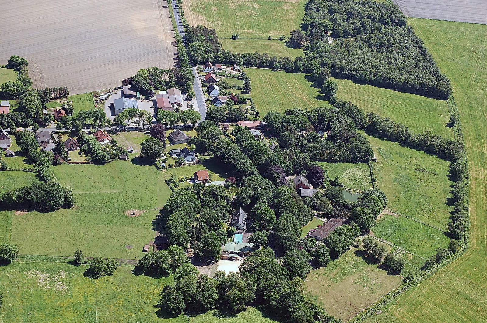 Elmlohe