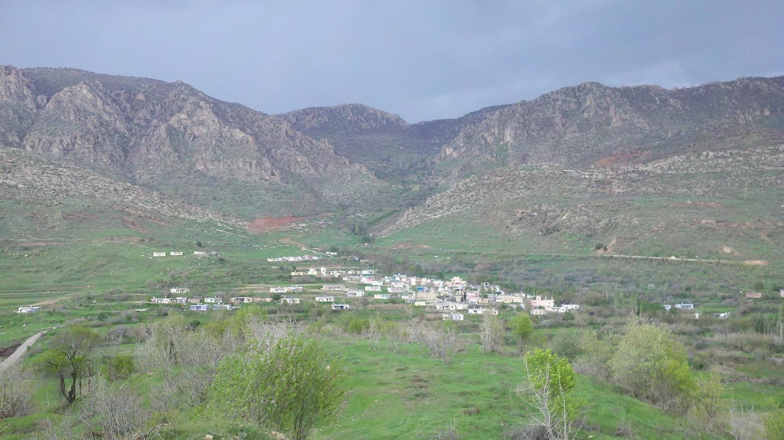 Araden
