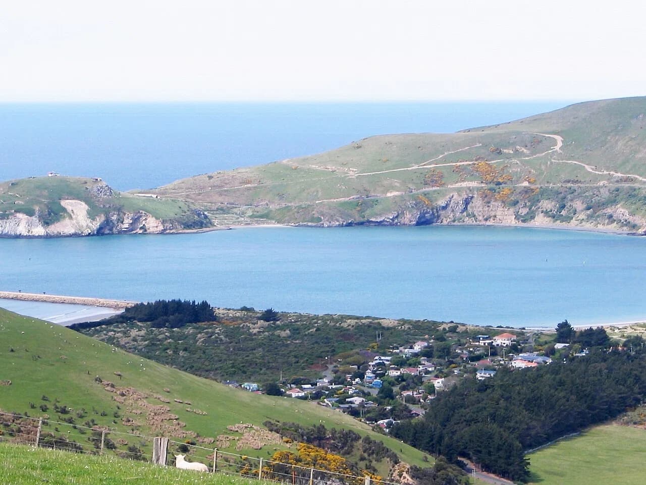 Aramoana