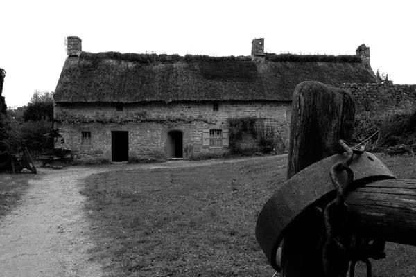 Brech