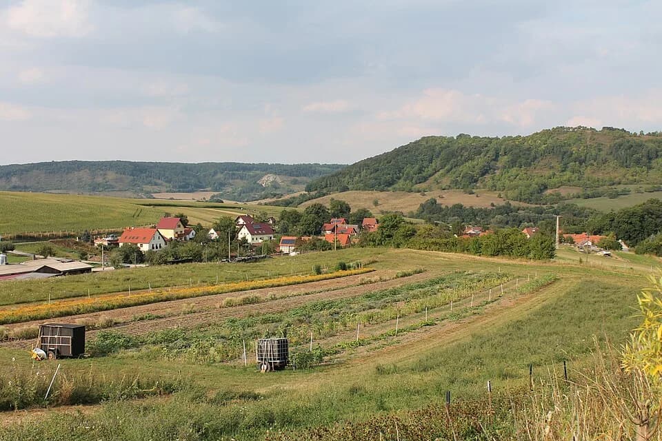 Jenalöbnitz