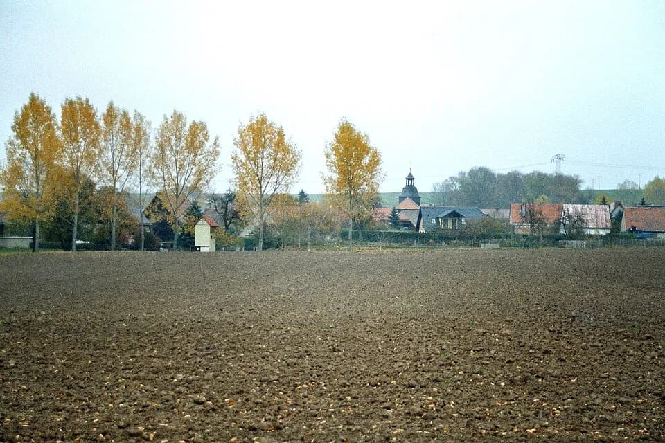 Hammerstedt