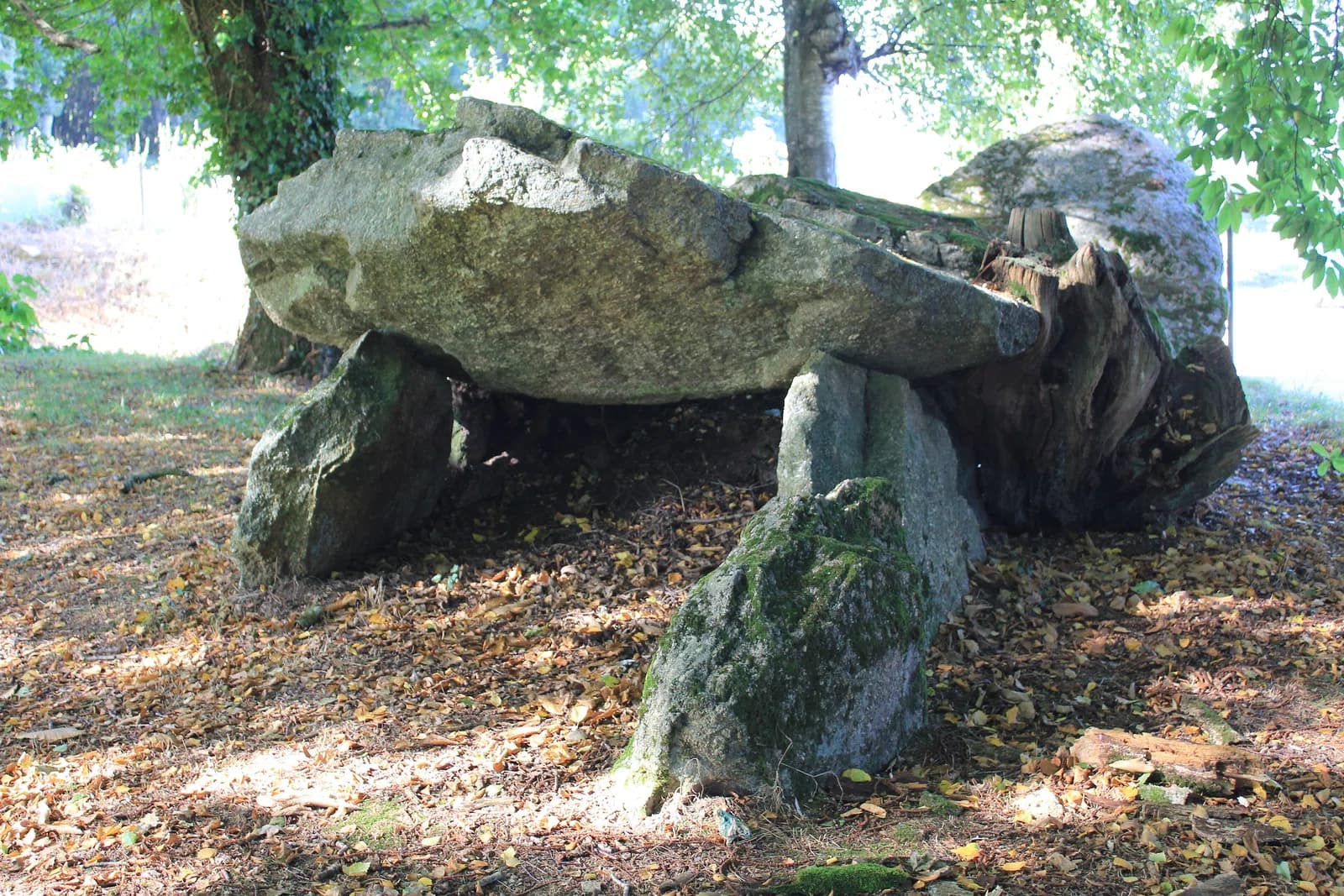 vannes