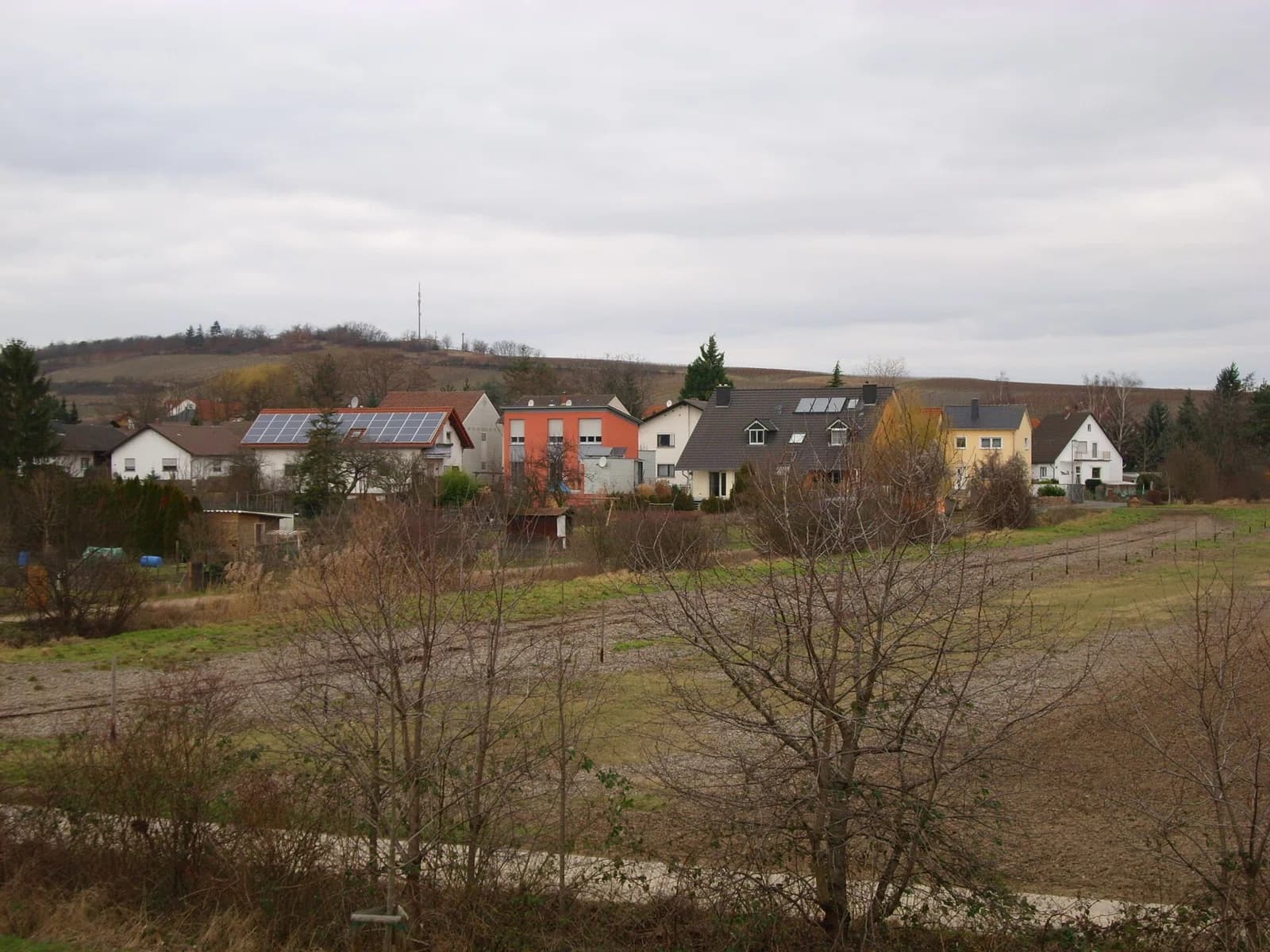 Siefersheim