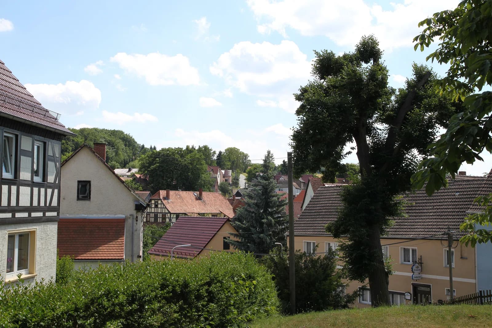 Großbockedra