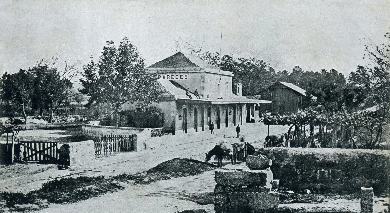 Paredes