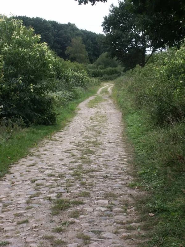 Breitenfelde