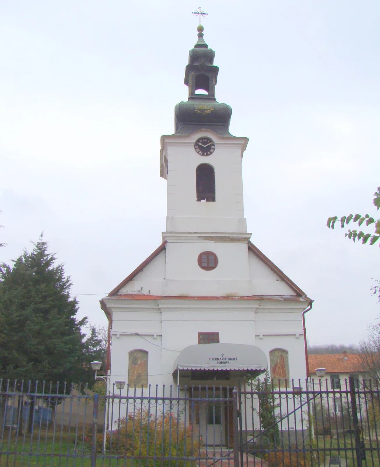 Plugova
