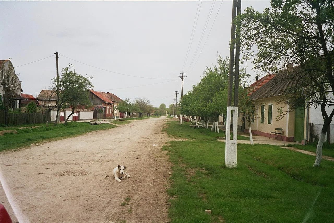 Sălbăgelu Nou