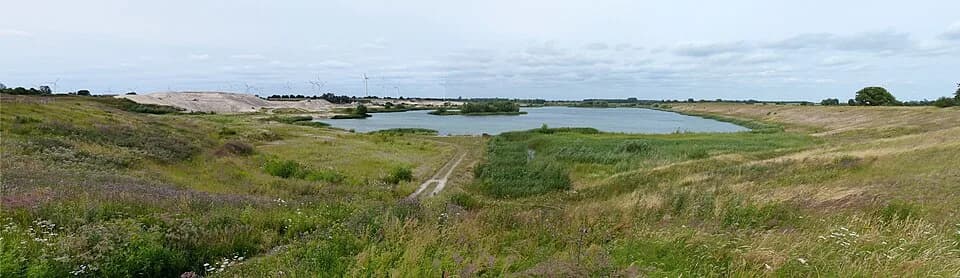 Sarnow