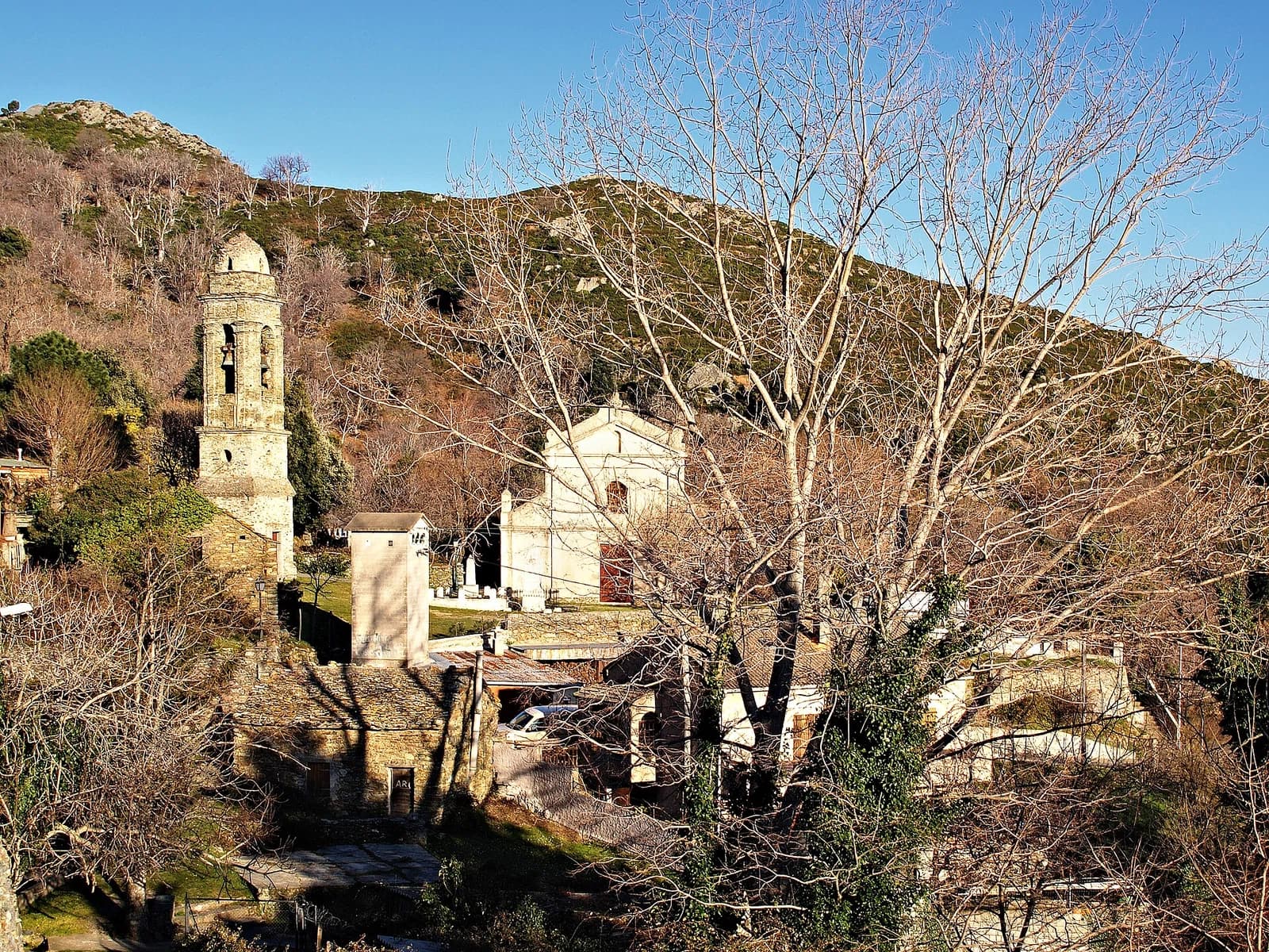 Scolca
