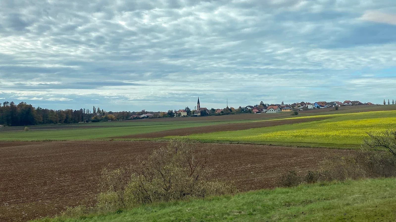 Stockern