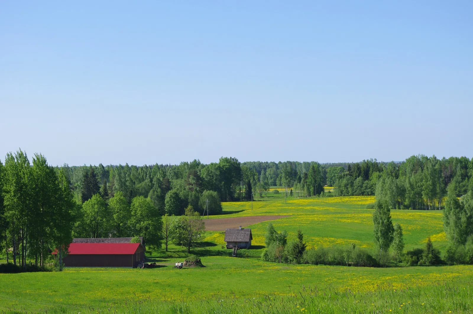 Taheva Rural Municipality