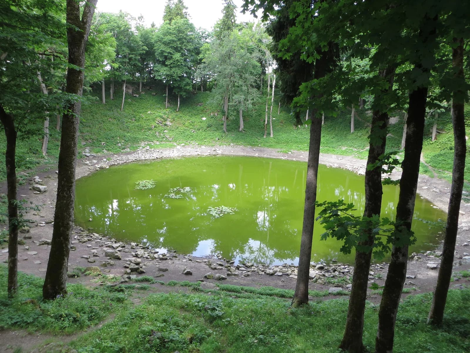 Pihtla Rural Municipality
