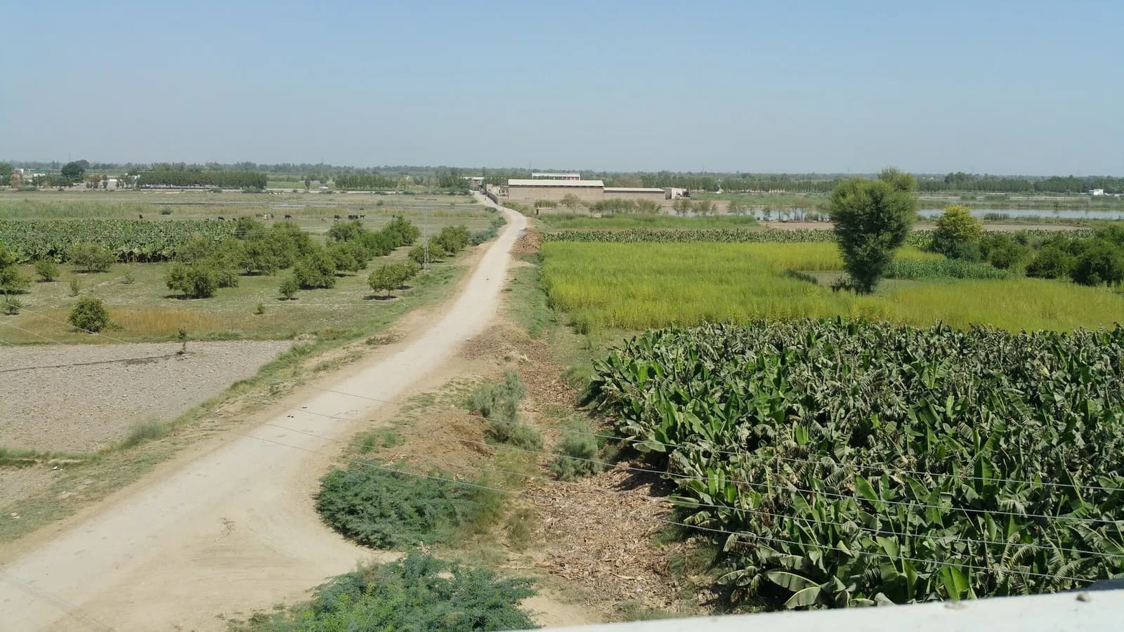 Naushahro Feroze District