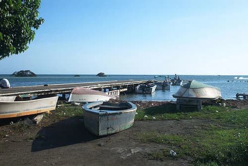 Salinas