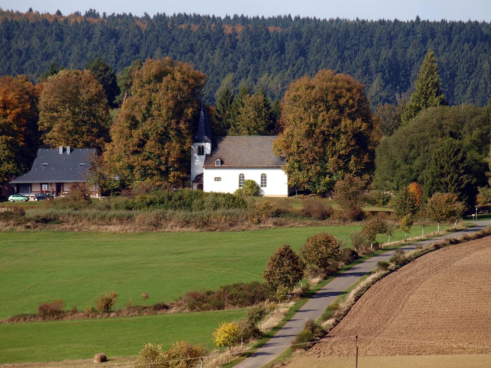 Leisel