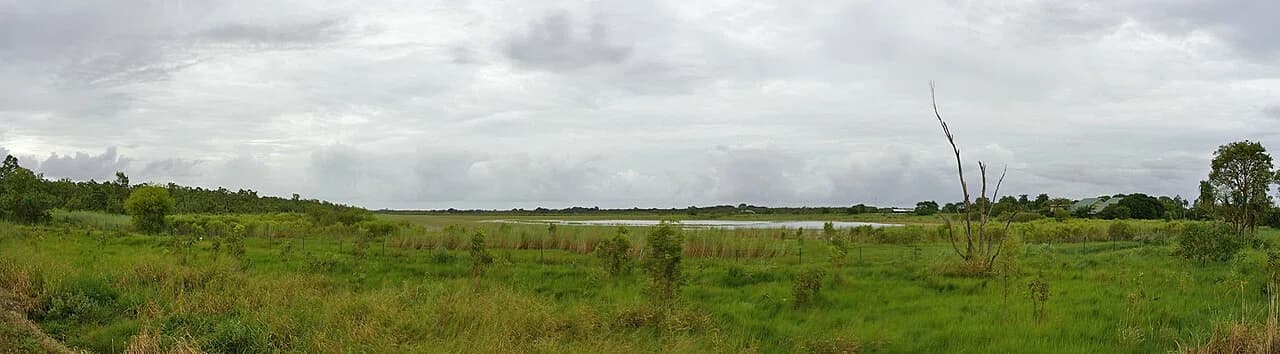 Knuckey Lagoon