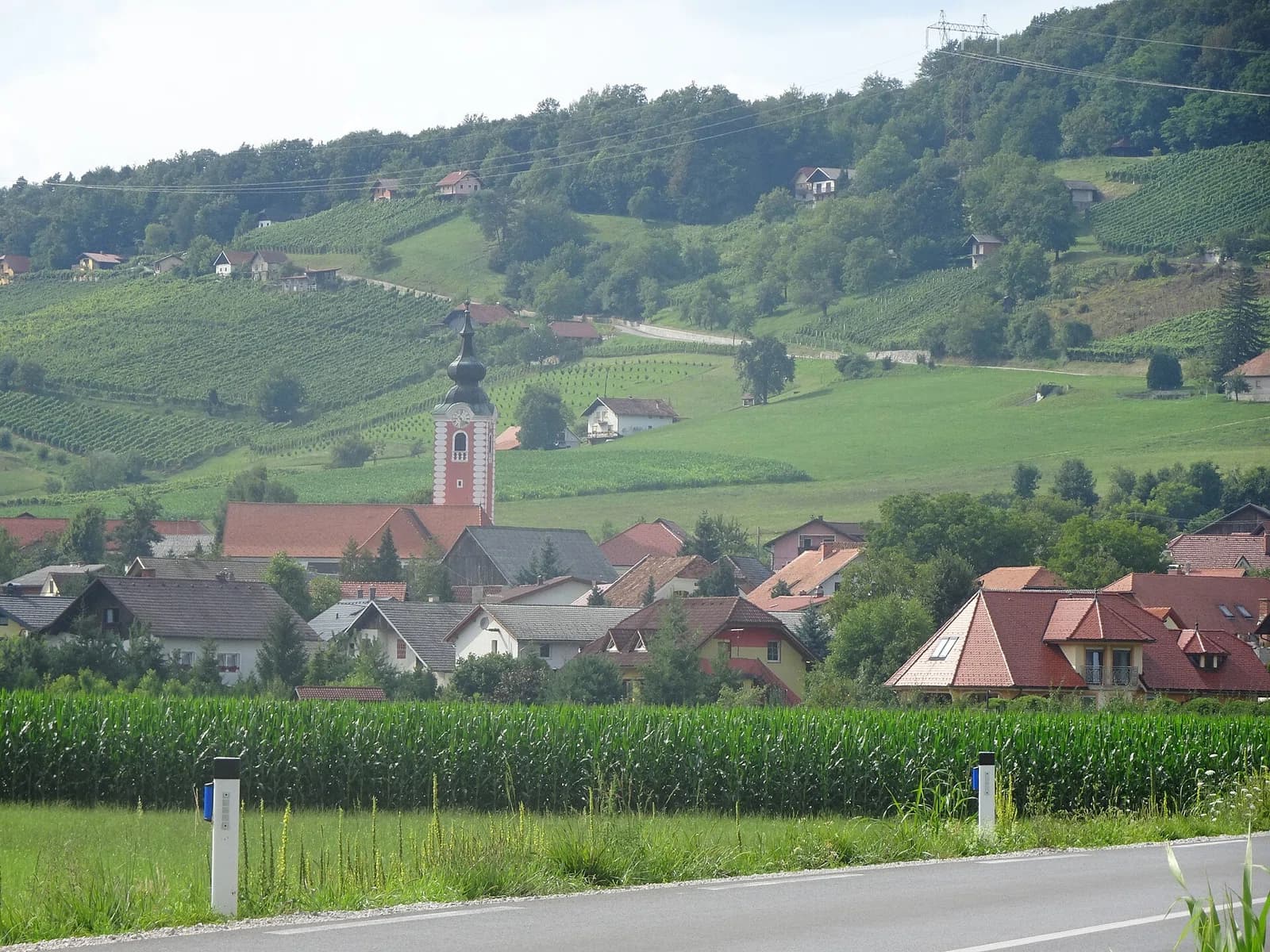 Žiče