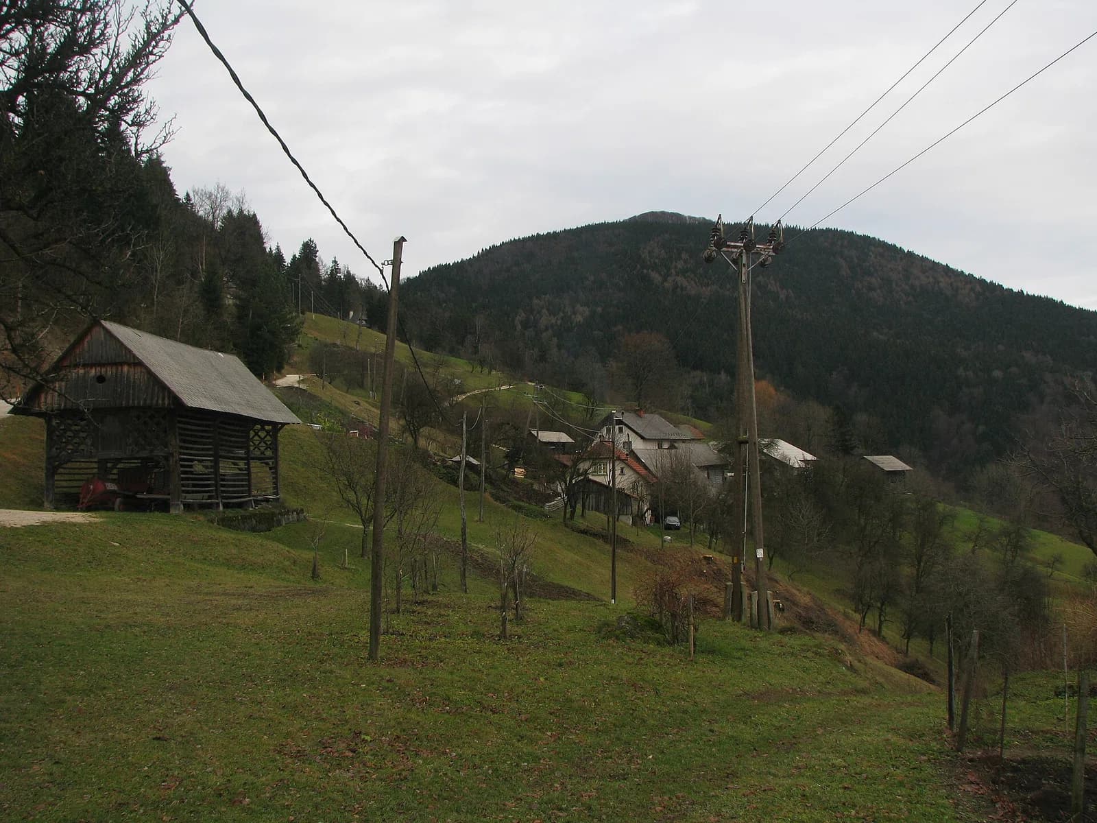Znojile
