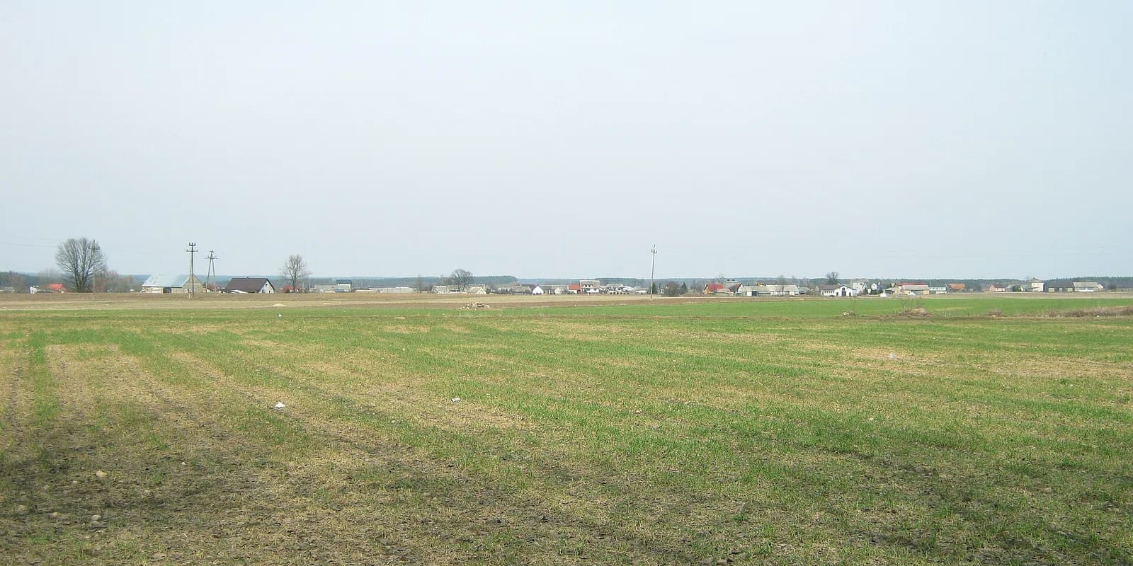 Korzeniste