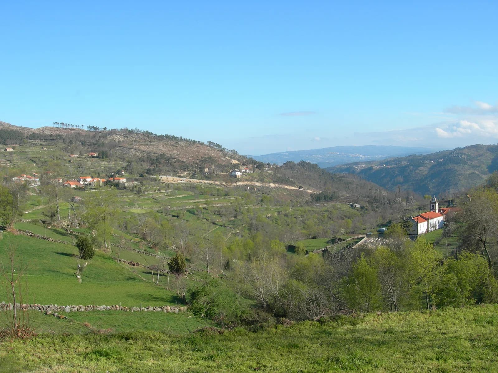 Tendais