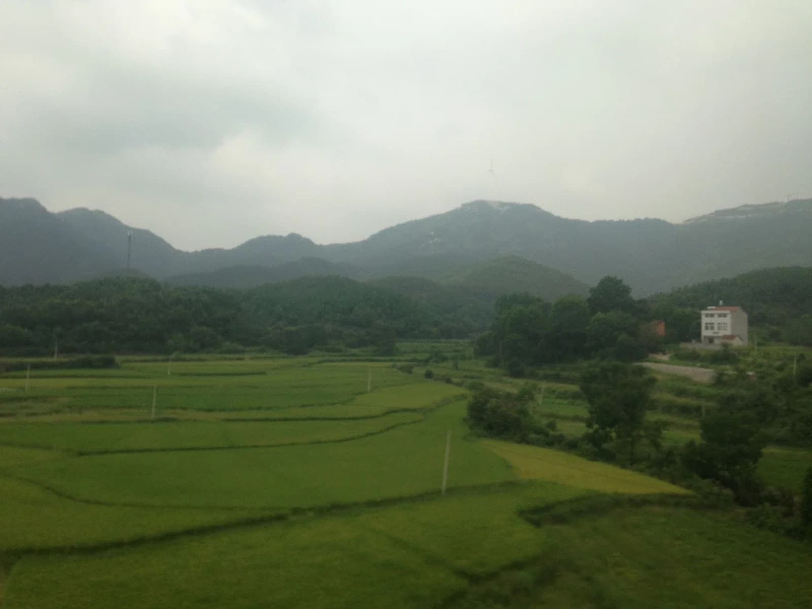 Dawu County