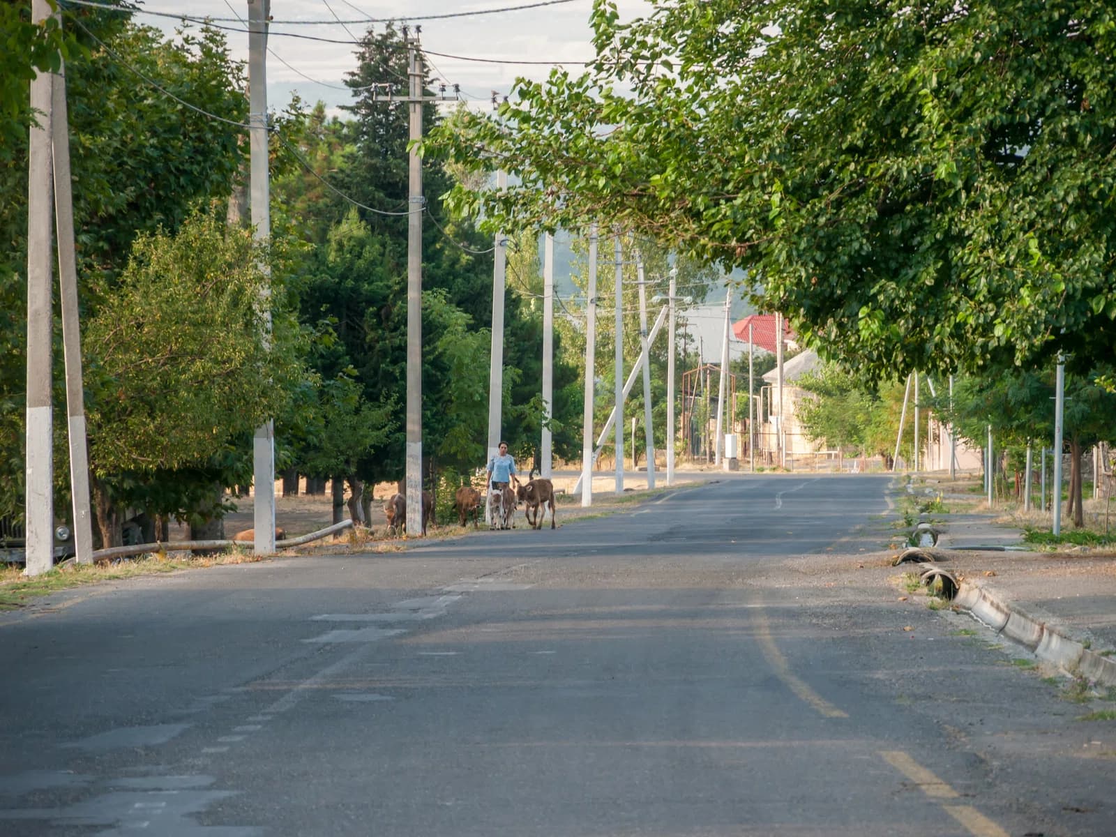 Oghuz District