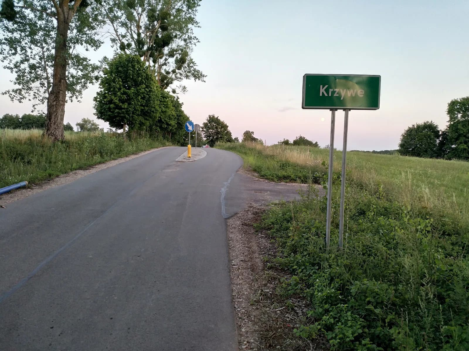 Krzywe