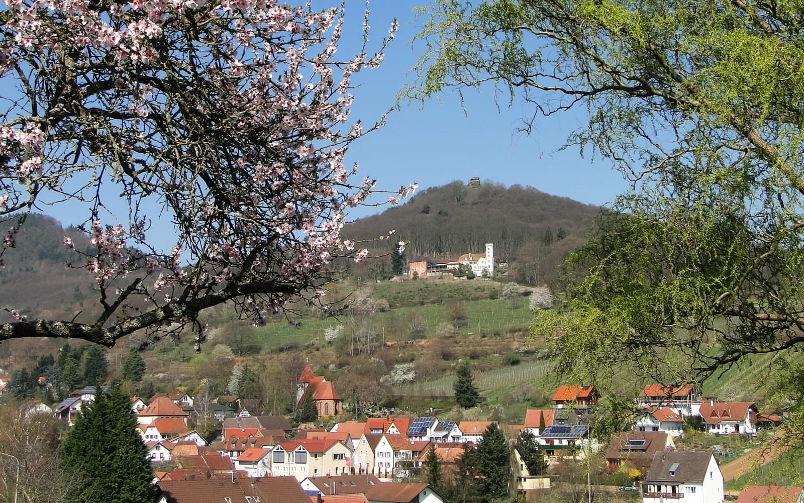 Leinsweiler