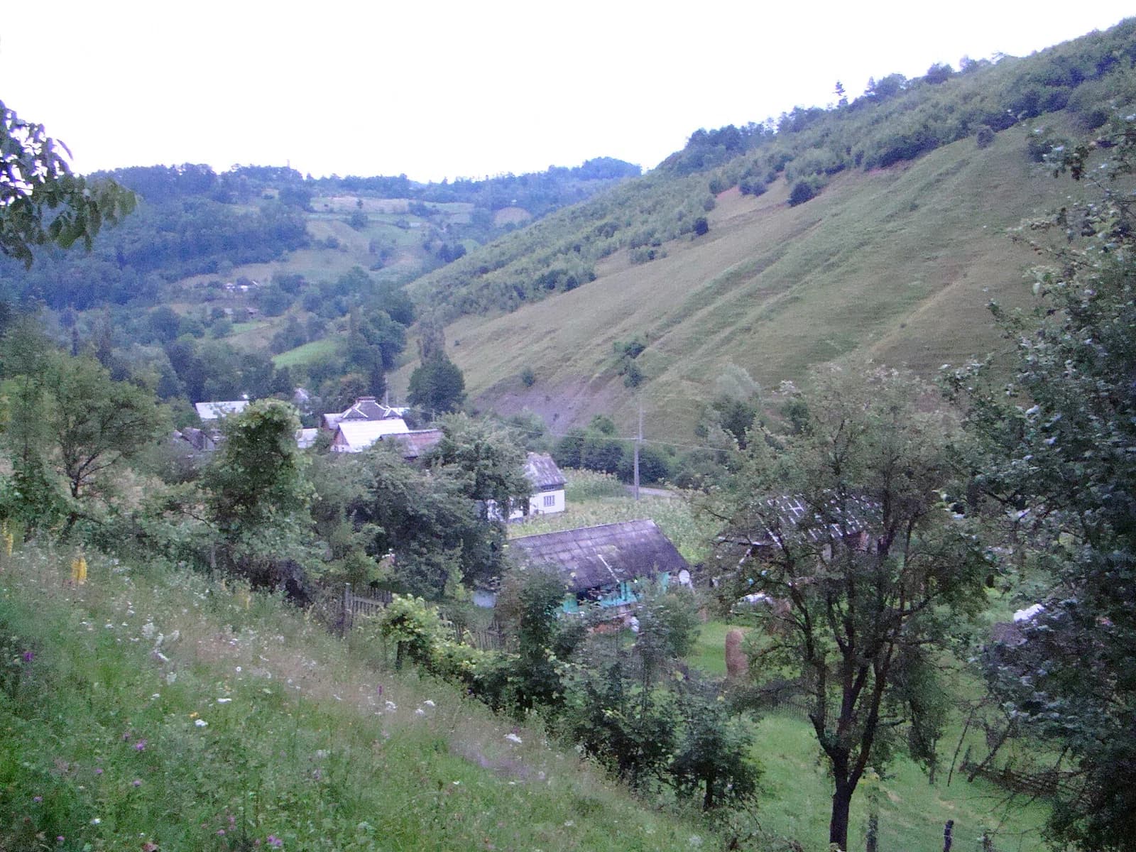 Runcu Salvei
