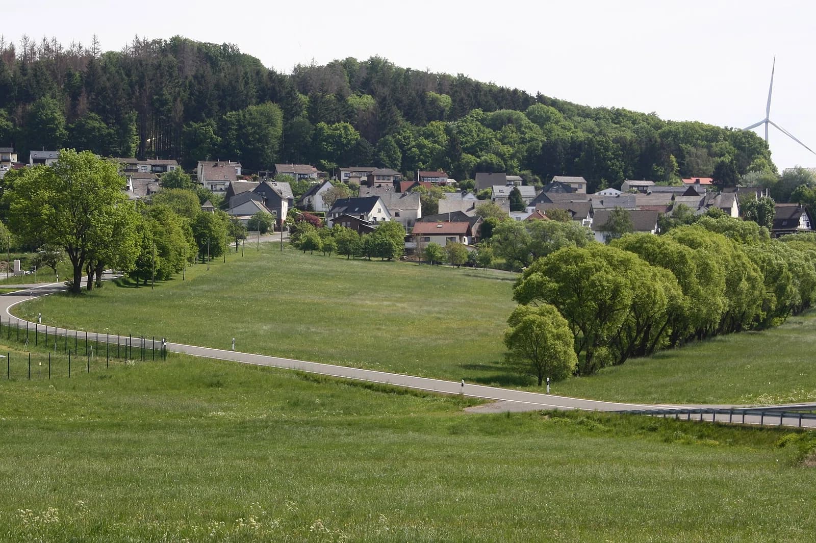 Brandscheid