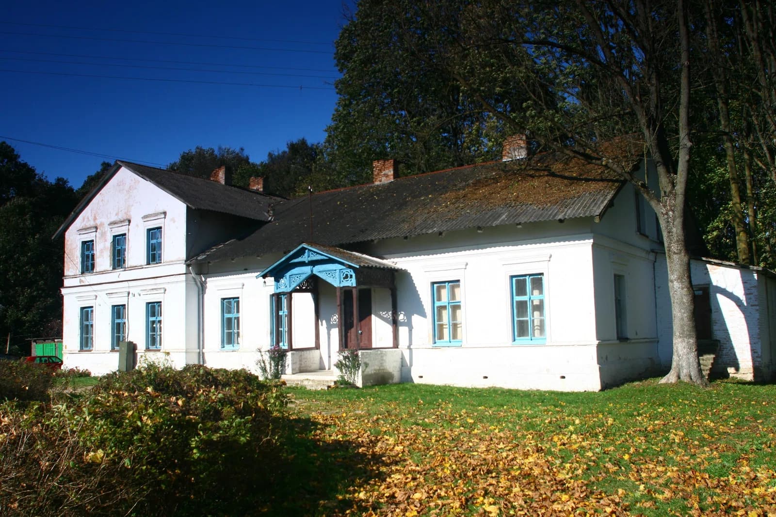 Vasilievičy