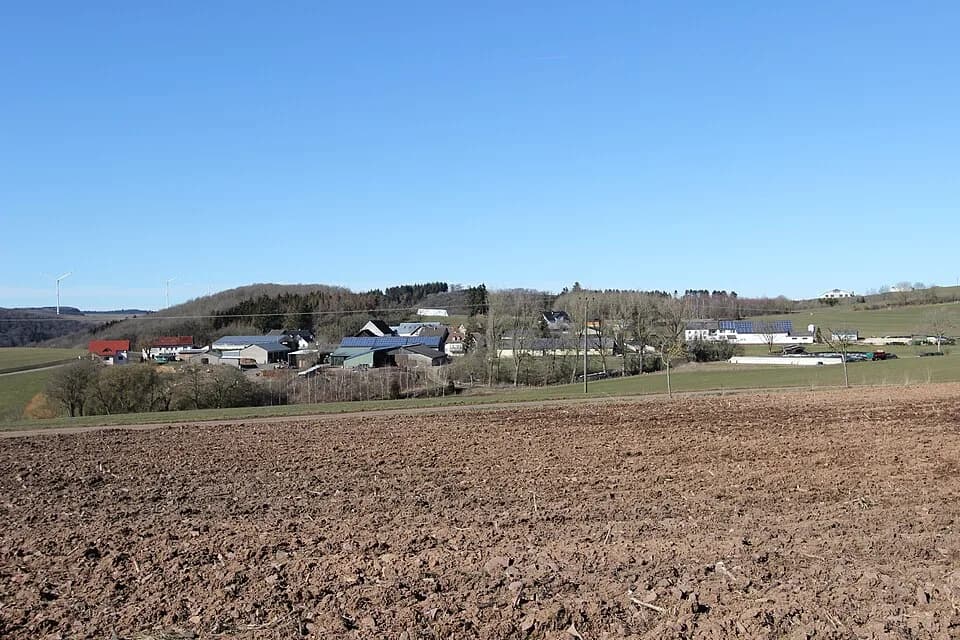 Pintesfeld