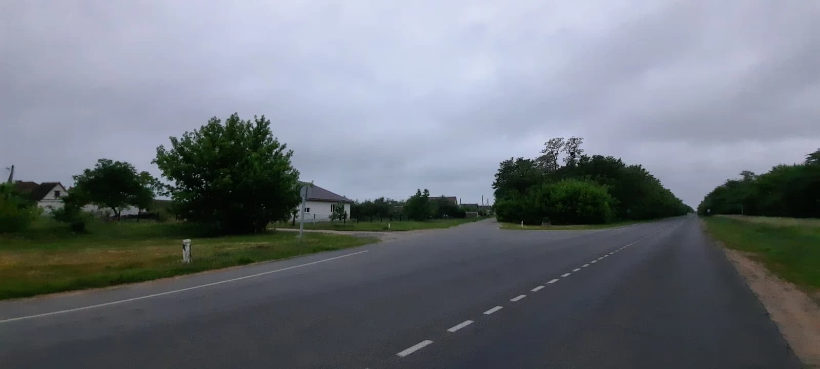 Damašycy