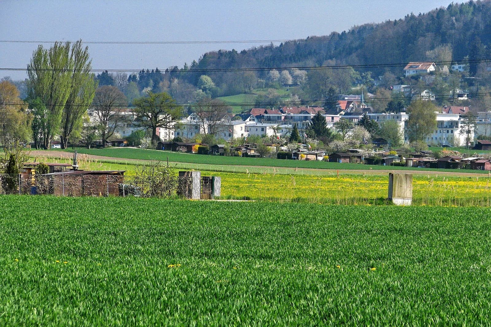 Fällanden
