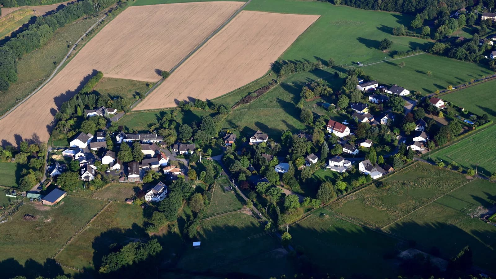 Steimel