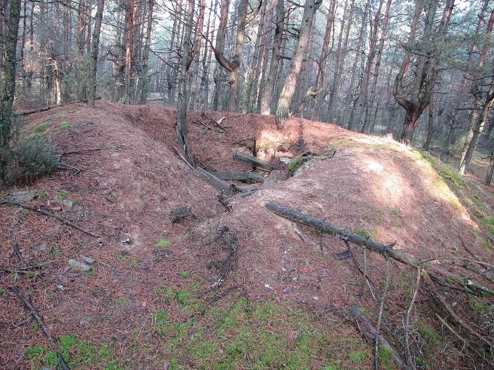 Kaciolki