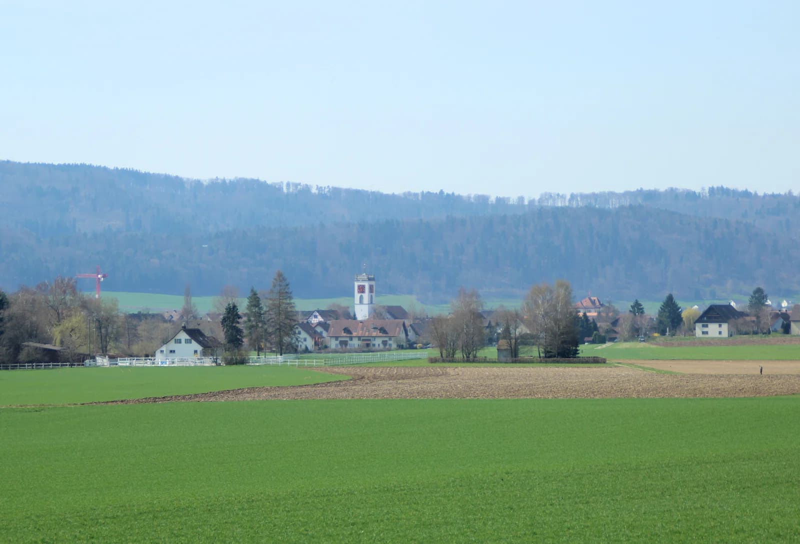 Neftenbach