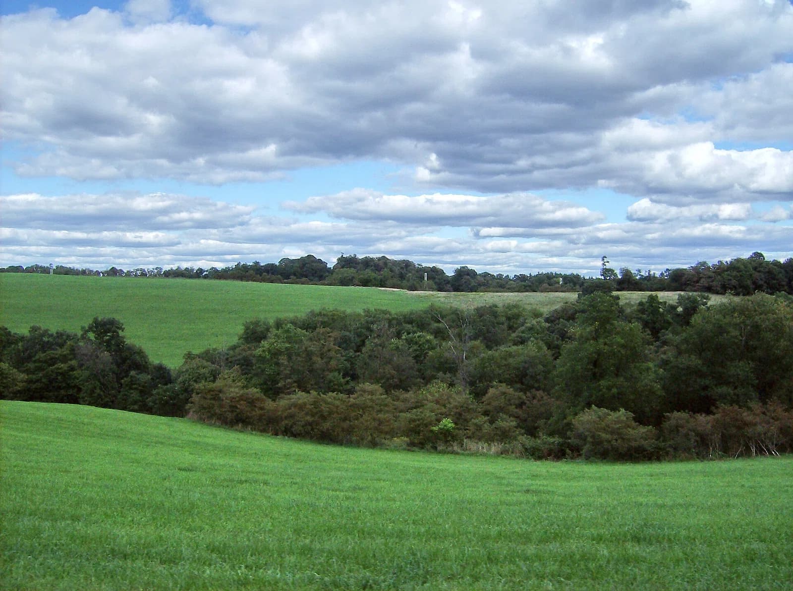 Lee Township