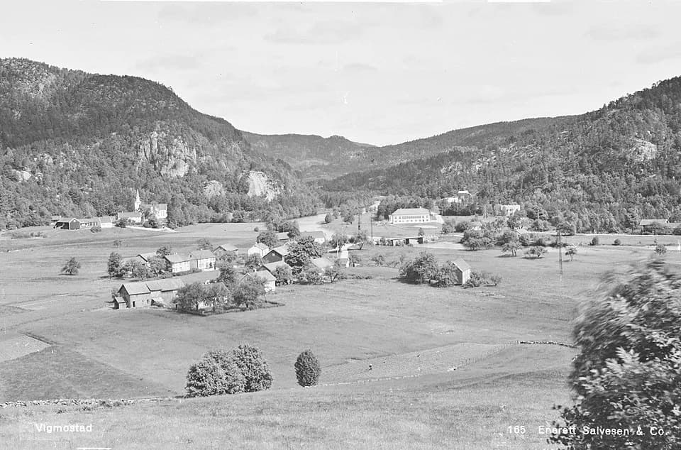 Vigmostad