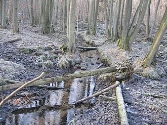 Barnstedt