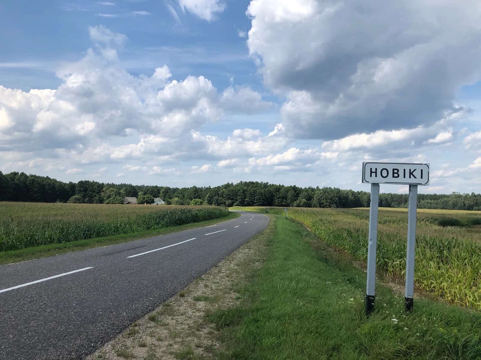 Noviki