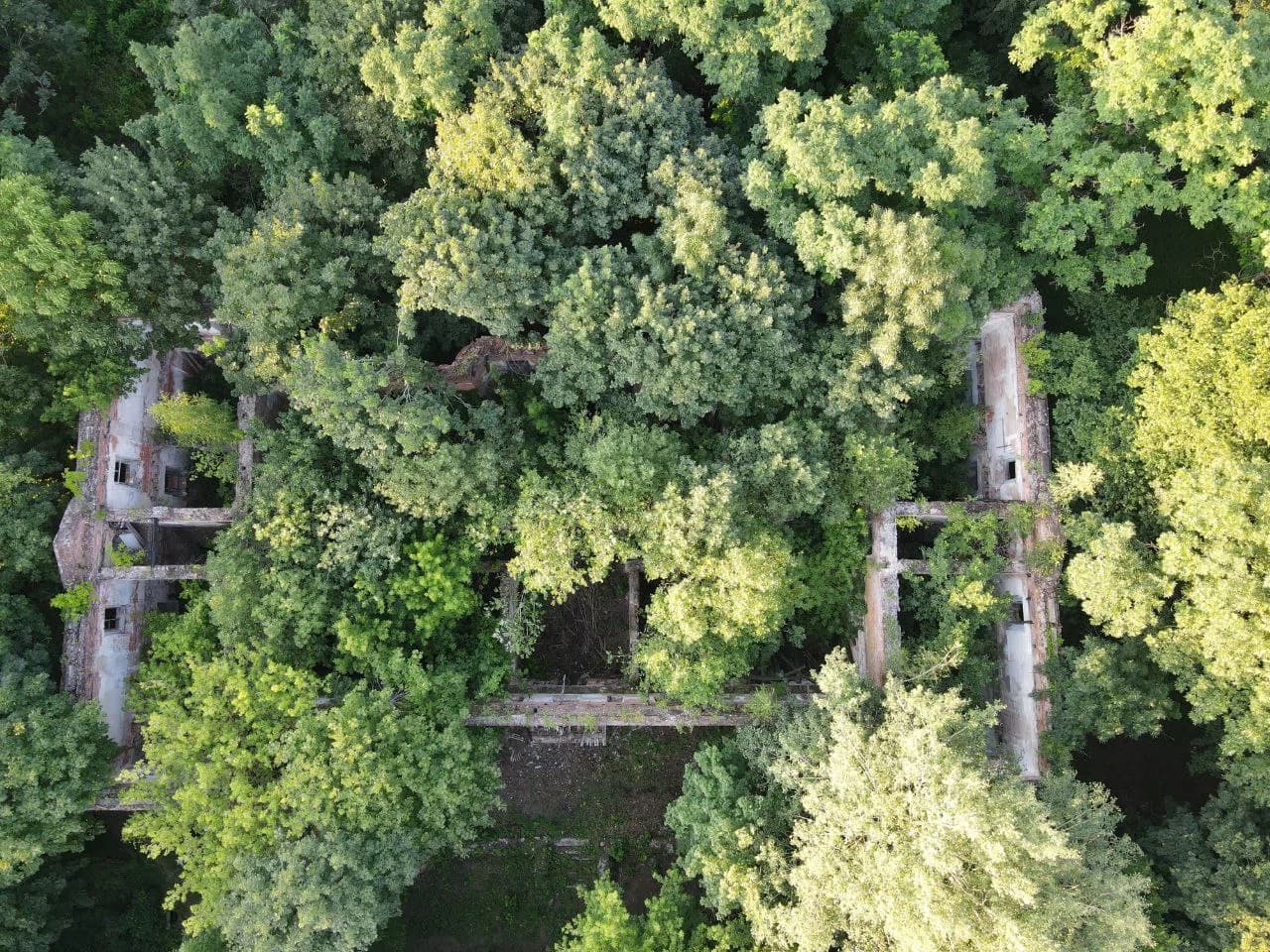 Rudakoŭ