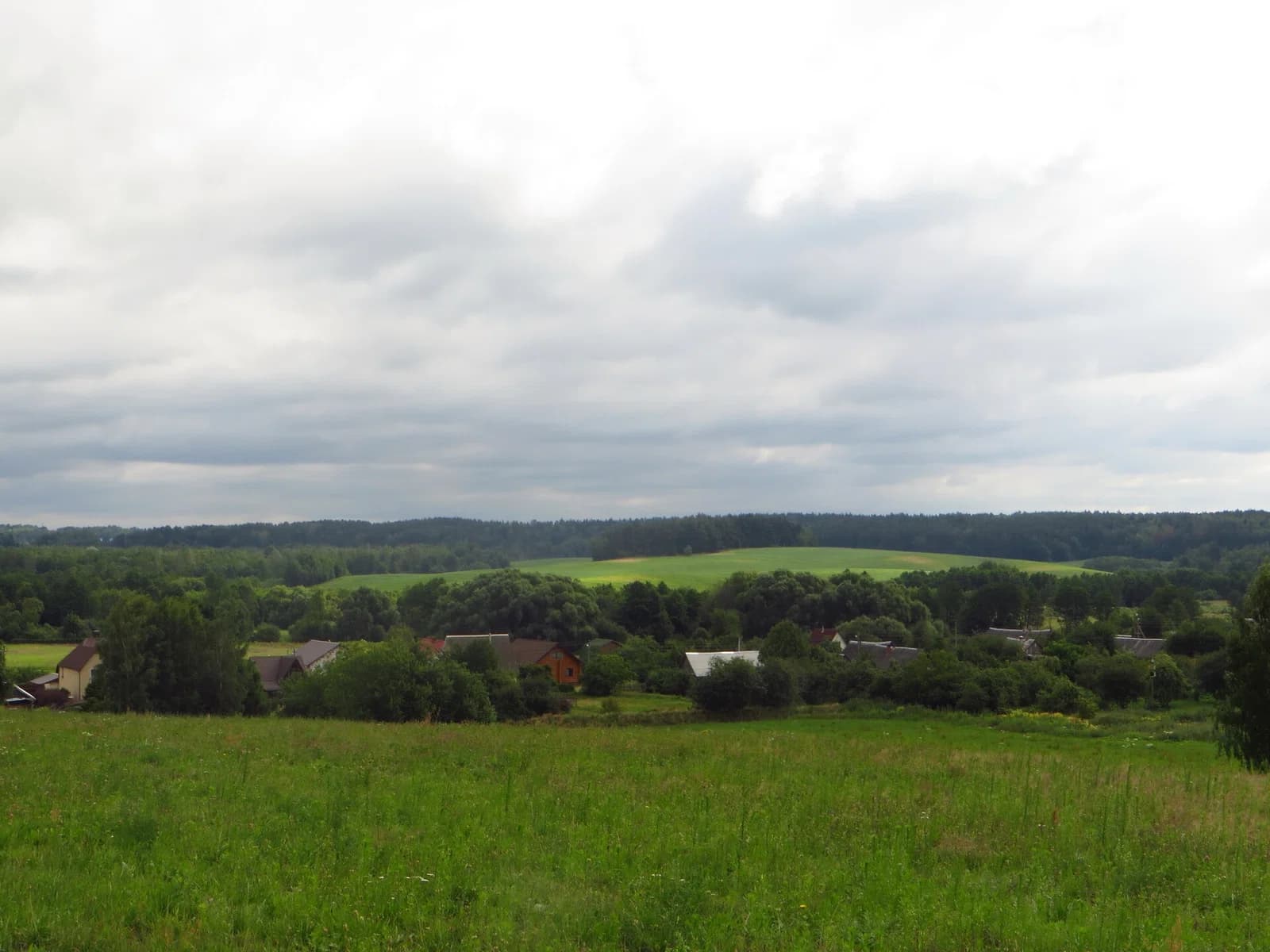 Rusinavičy