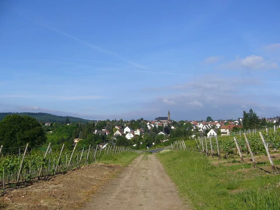 Weiler bei Bingen