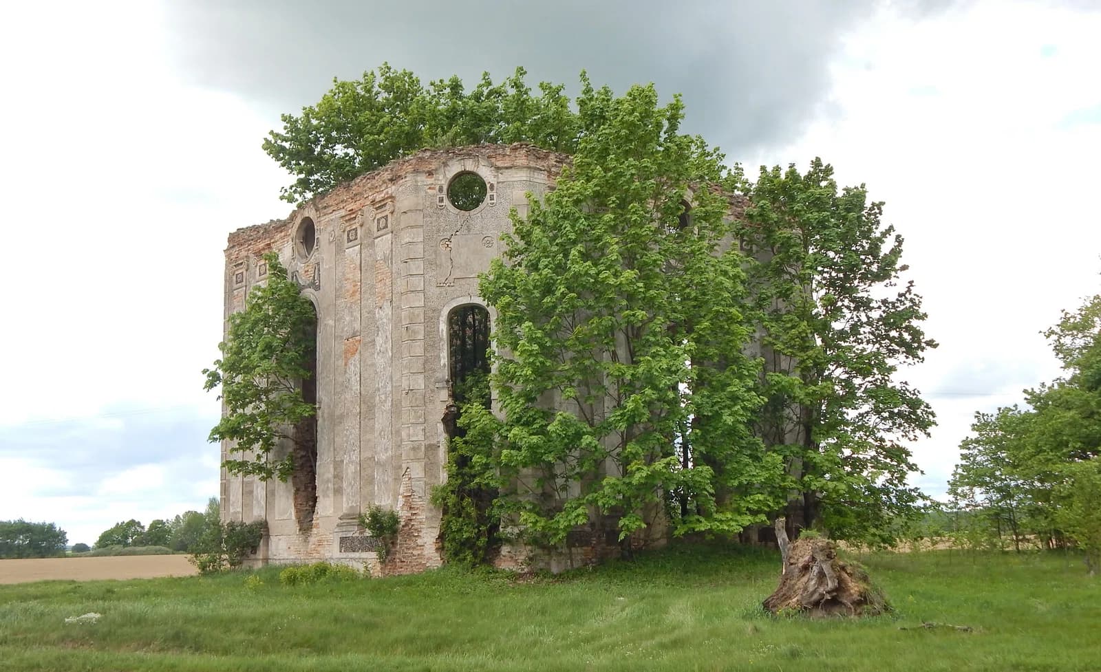 Ščečycy