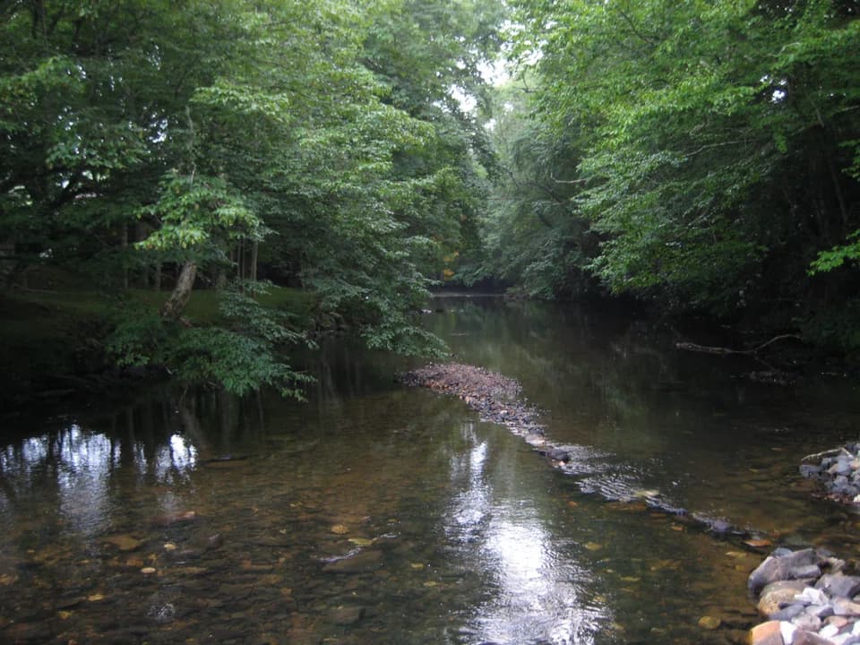 Linville