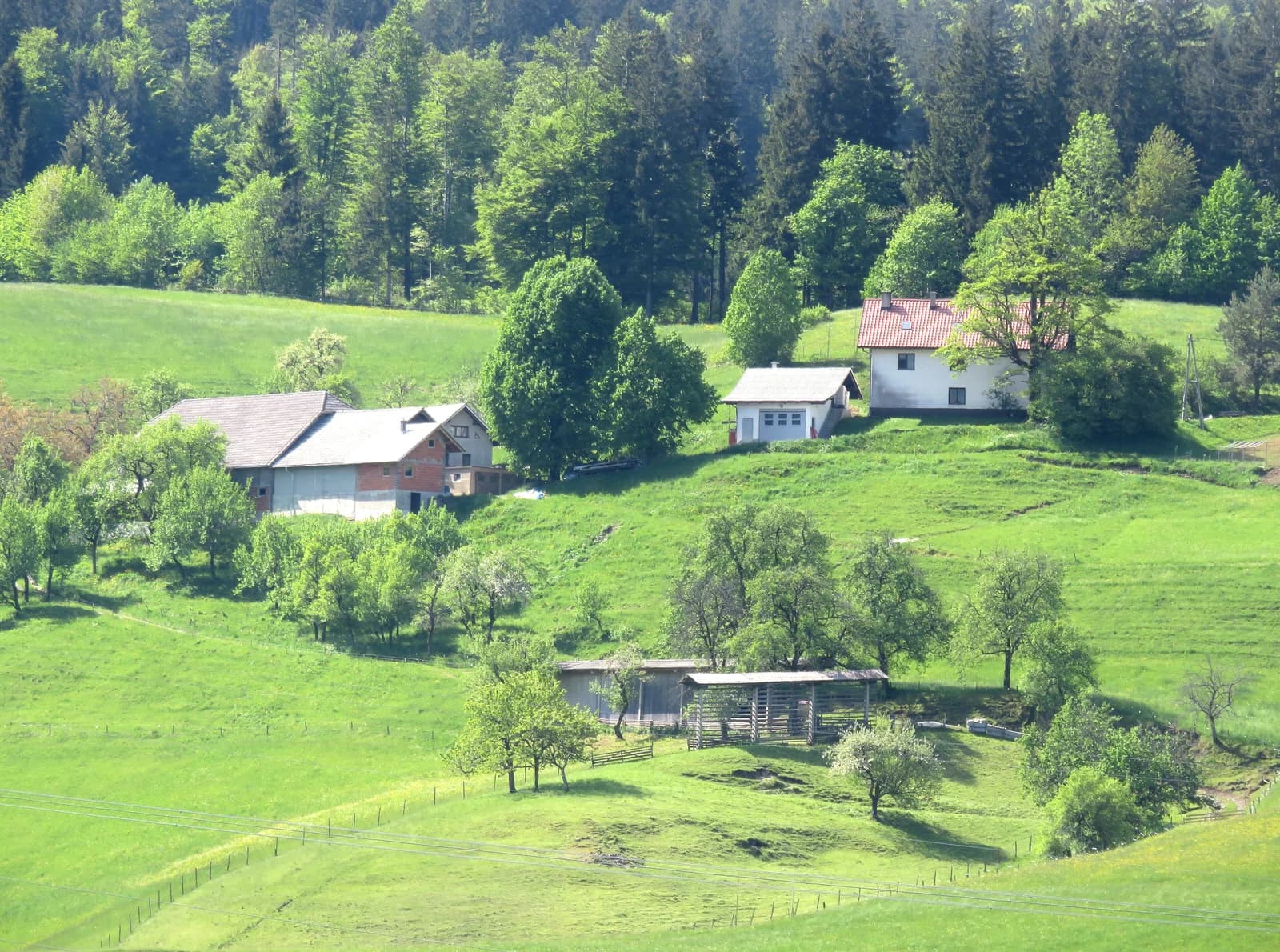 Liplje