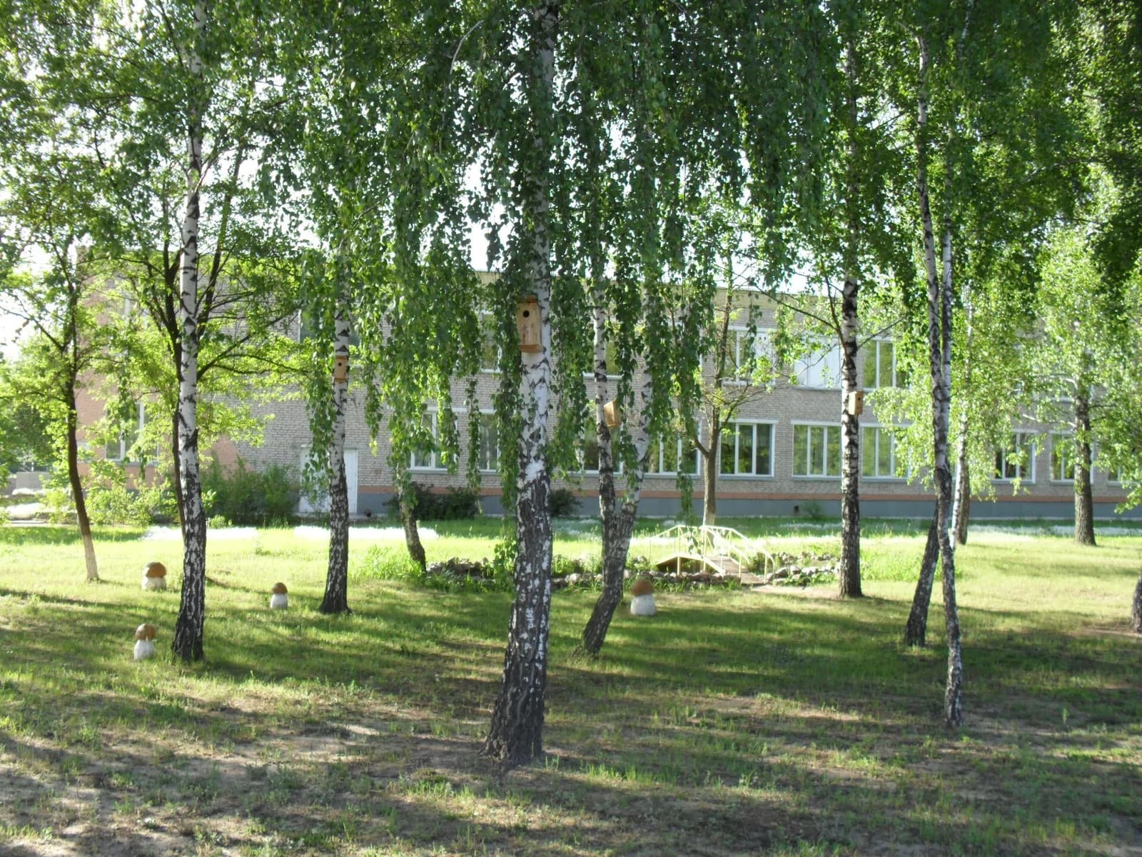 Kamaryn